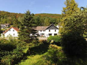 Гостиница Ferienhaus im Wiesengrund  Зиммерат